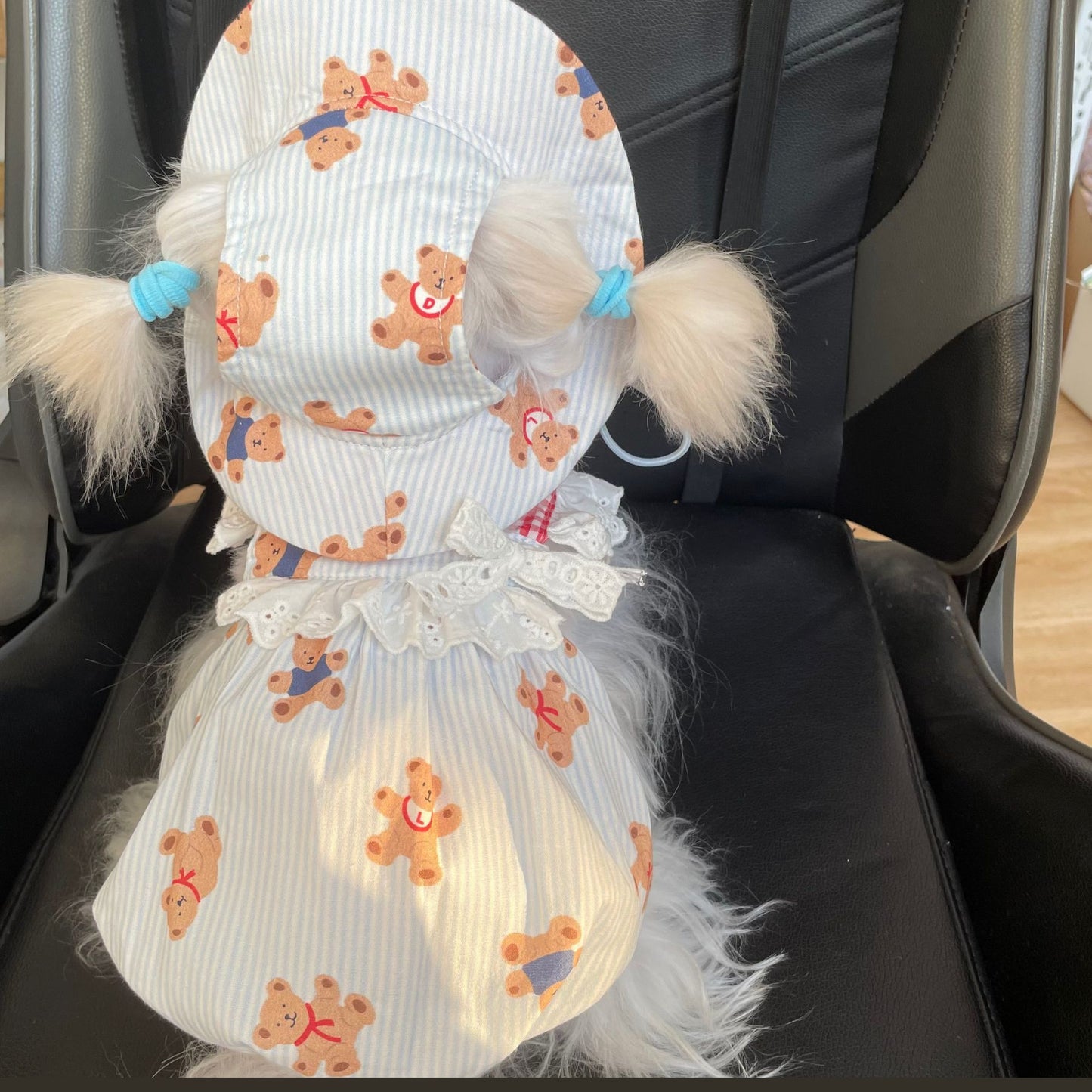 Striped Bear Picnic Daily Dress