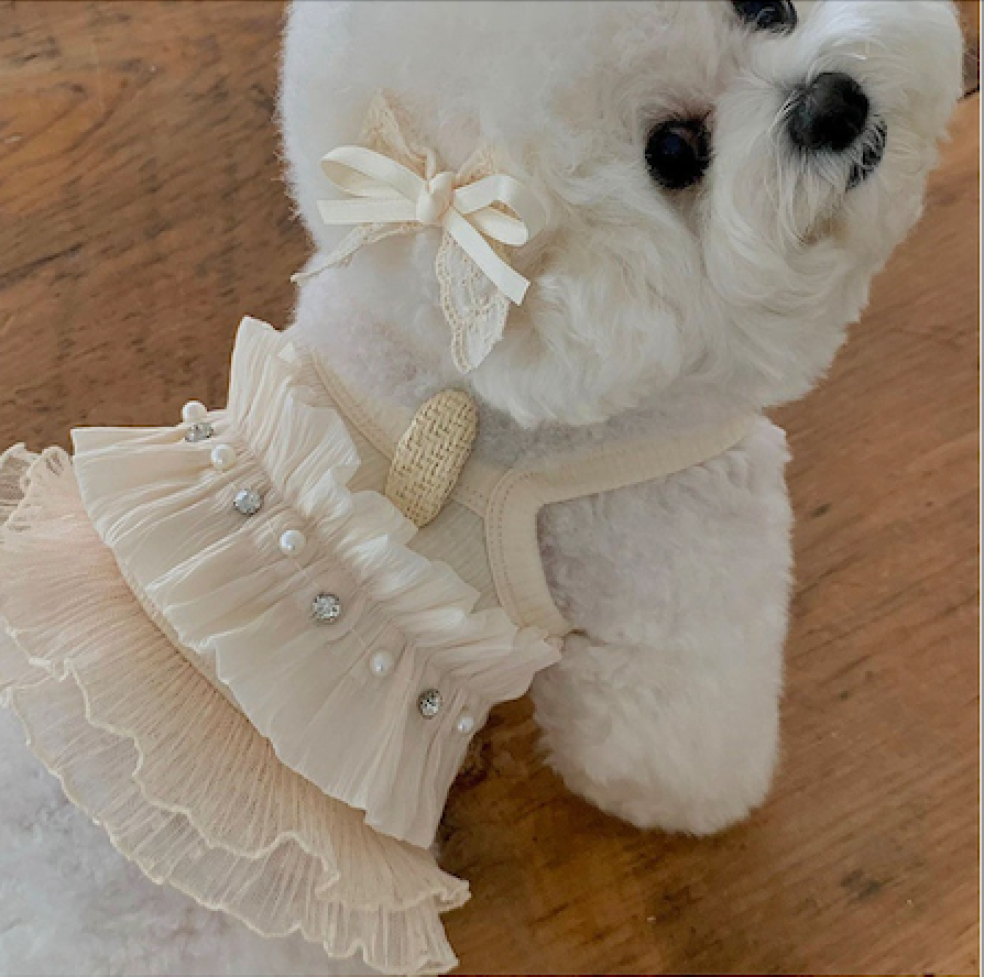 Pearl Veil Daily Dress