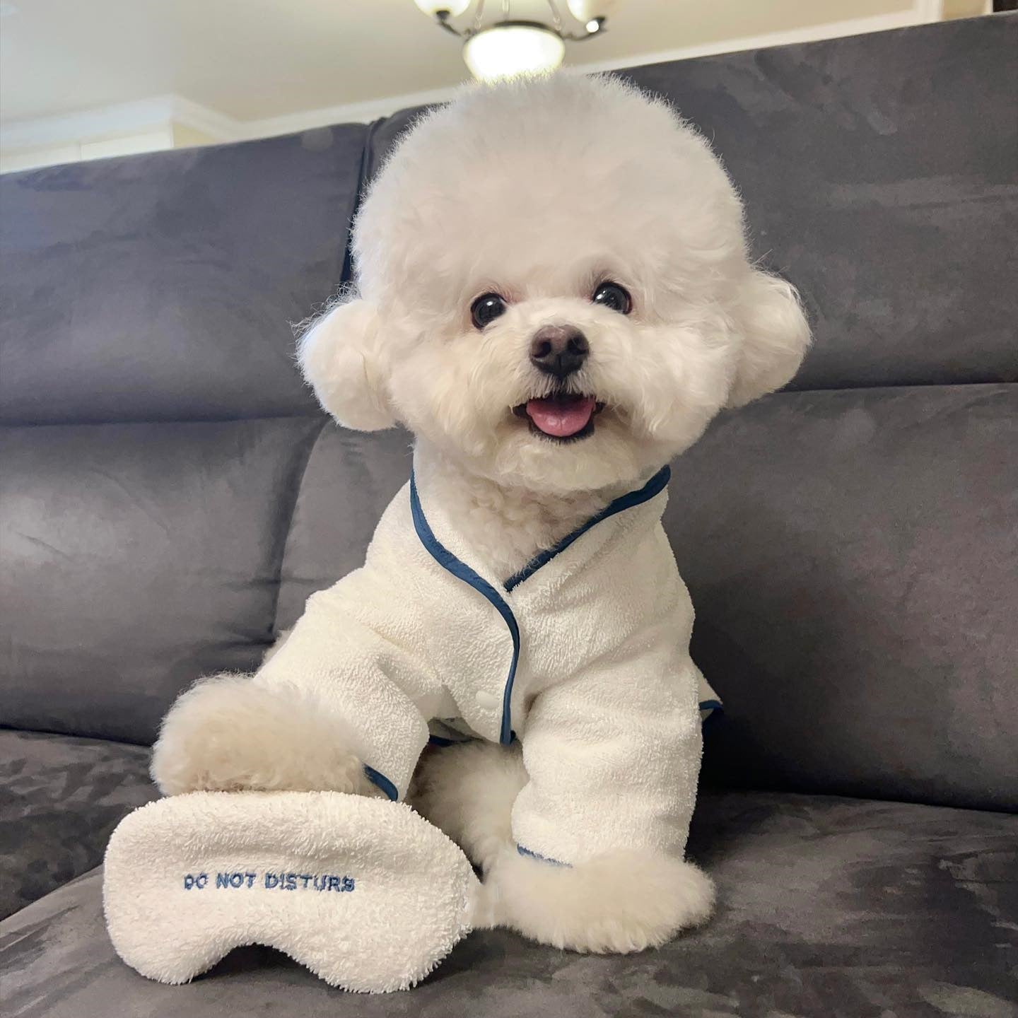 Hotel Style Dog Bathrobe