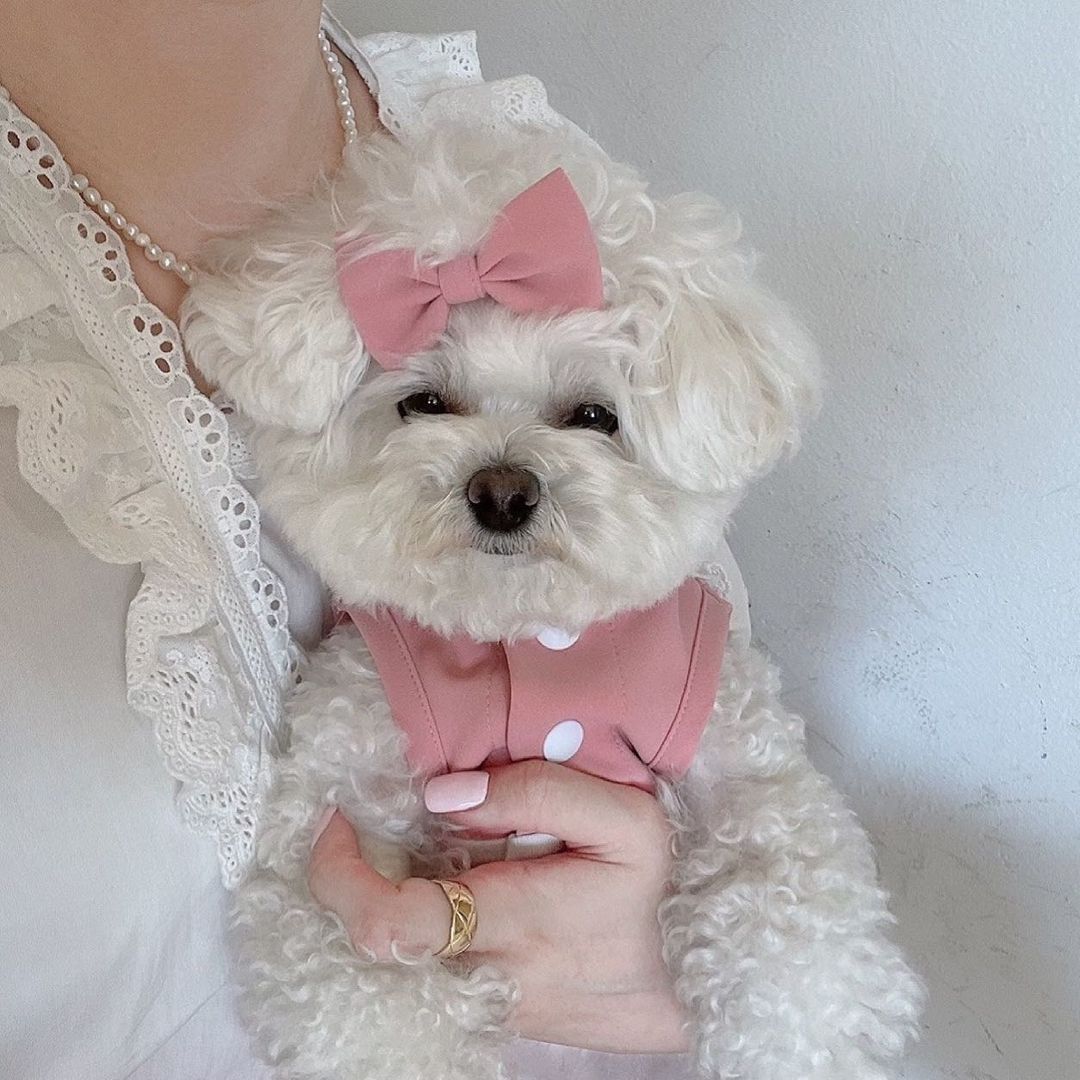 Sweet Pink Daily Dress