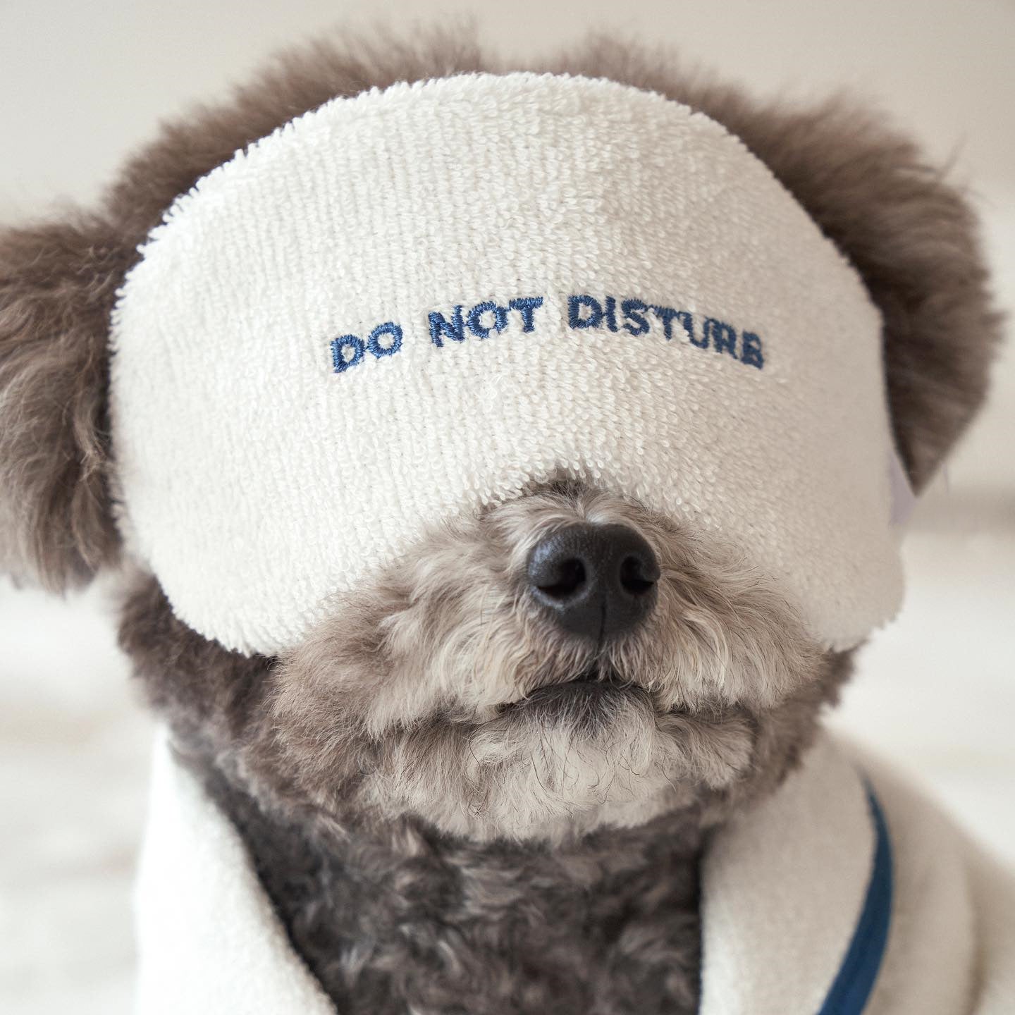 Hotel Style Dog Bathrobe