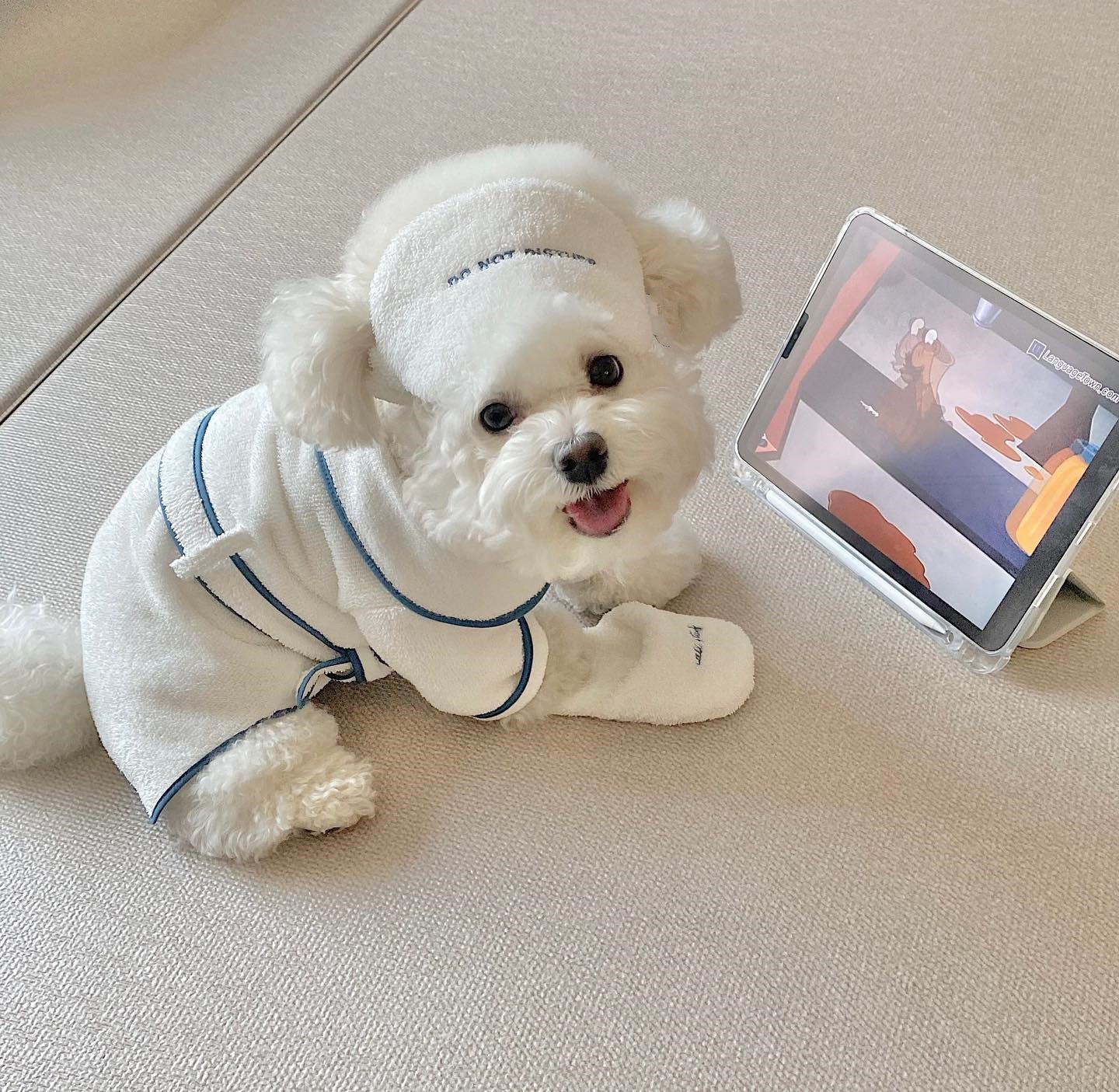 Hotel Style Toy Set