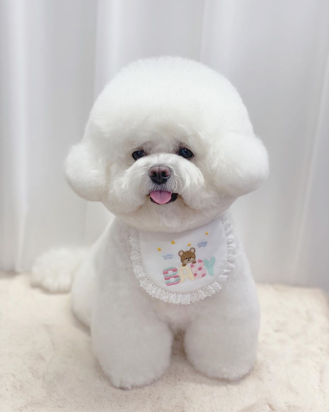 BABY Bear Bandana