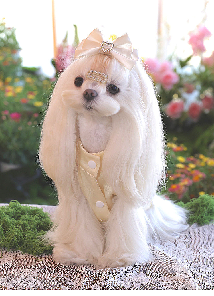 Atelier Collection-Crystal Bloom Dog Dress