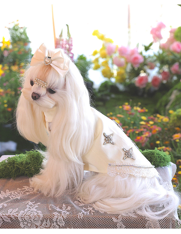Atelier Collection-Crystal Bloom Dog Dress