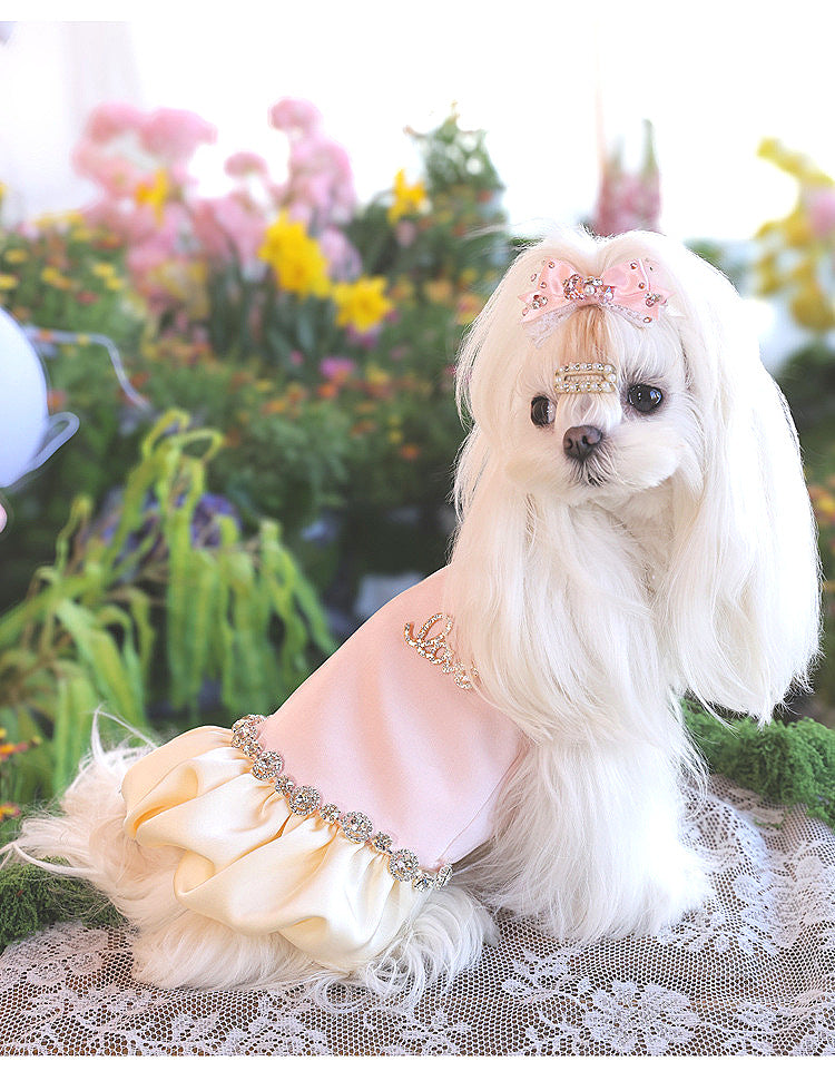 Atelier Collection- Luxe Pearl Dress