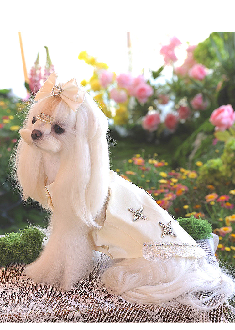 Atelier Collection-Crystal Bloom Dog Dress
