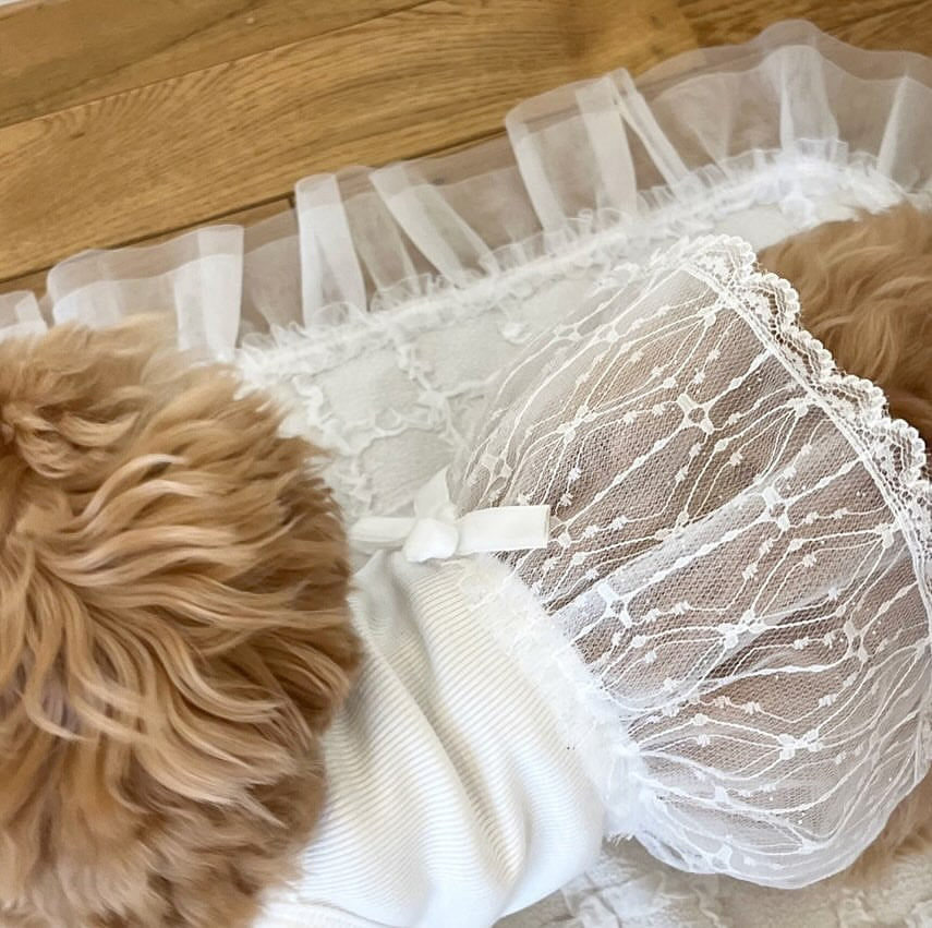 Fairy Lace Daily Dress