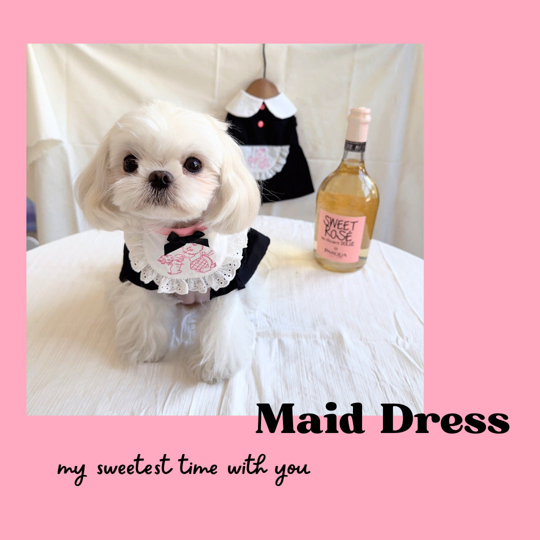 “Witch or Maid?” Daily Dress