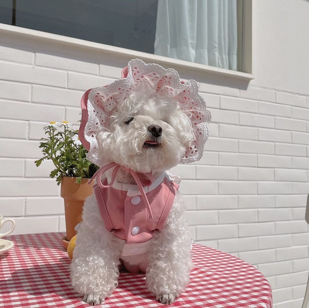 Sweet Pink Daily Dress