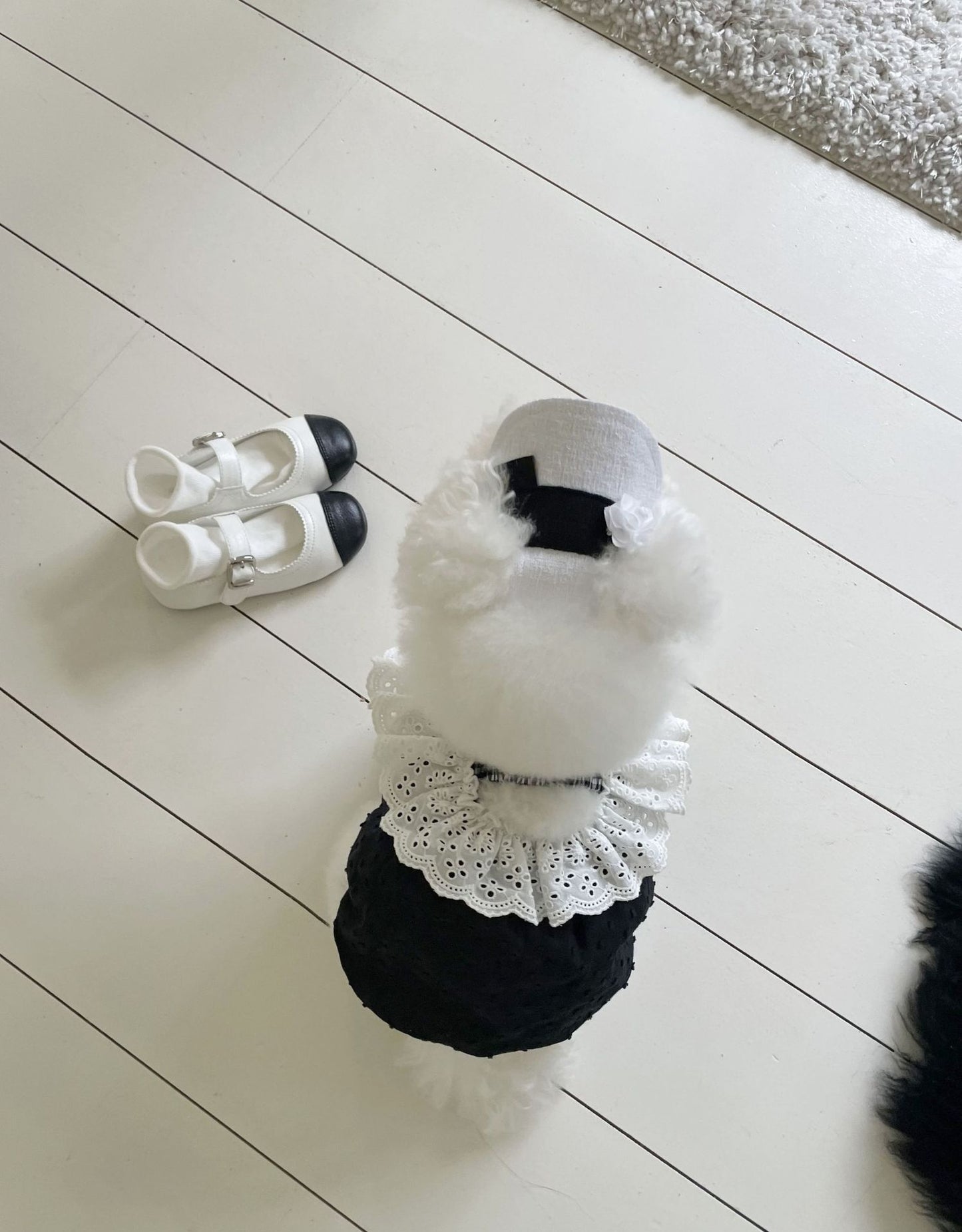 Summer Grace Daily Dress