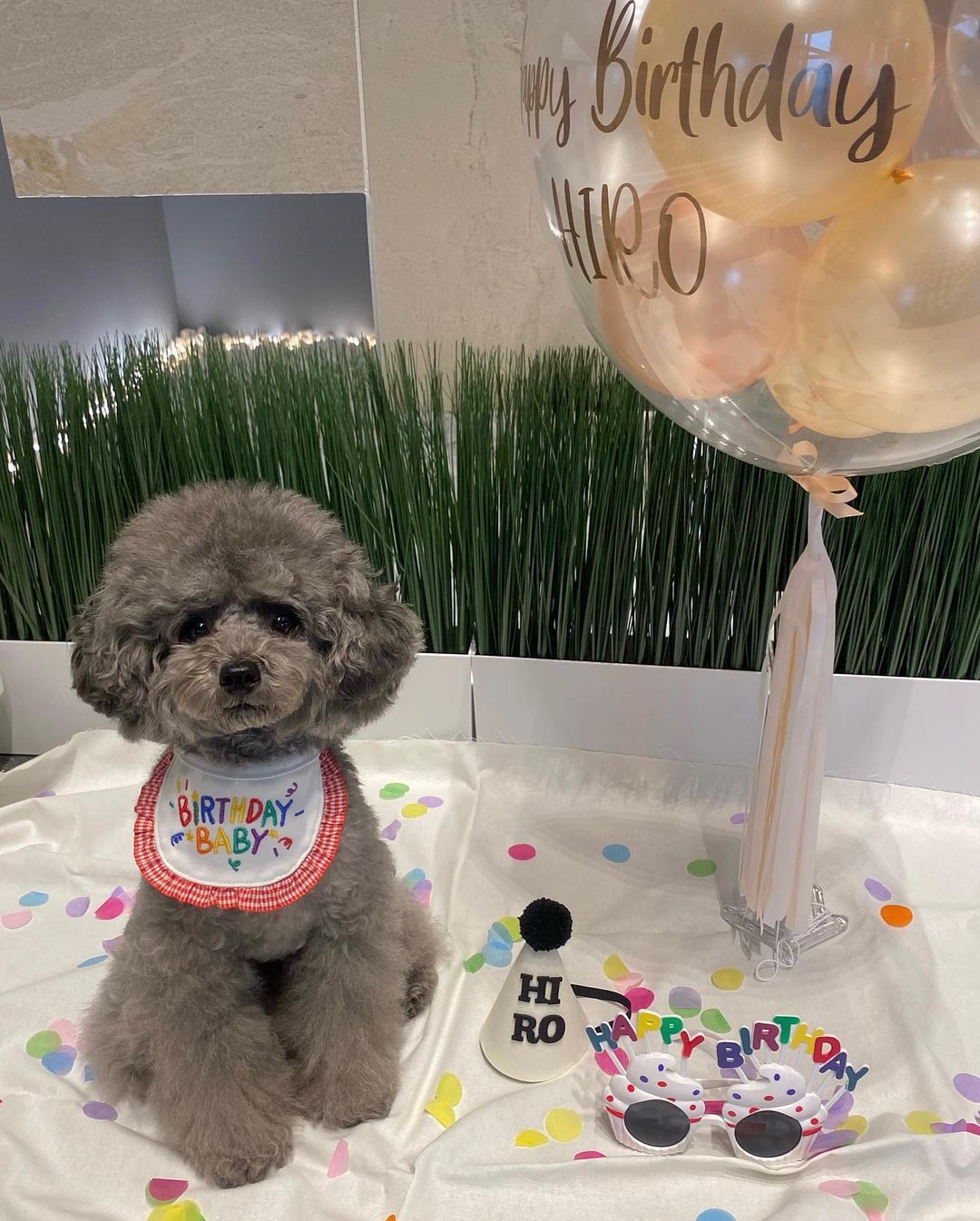 Birthday Embroidered Bandana
