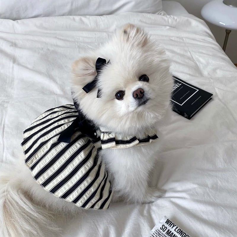 Chic Stripe Daily Dress