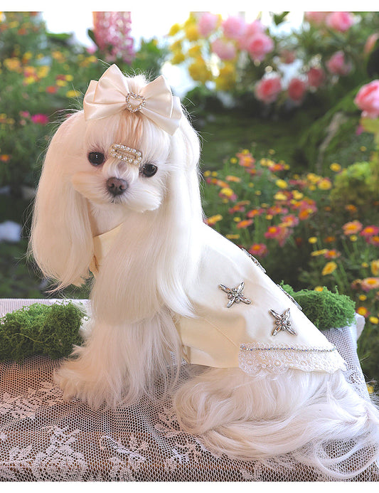 Atelier Collection-Crystal Bloom Dog Dress