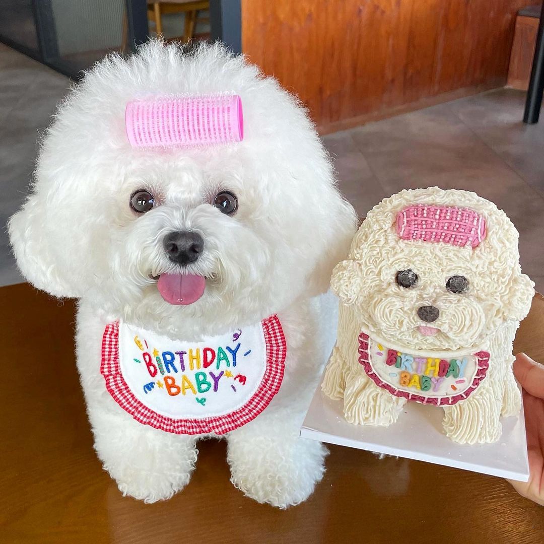 Birthday Embroidered Bandana