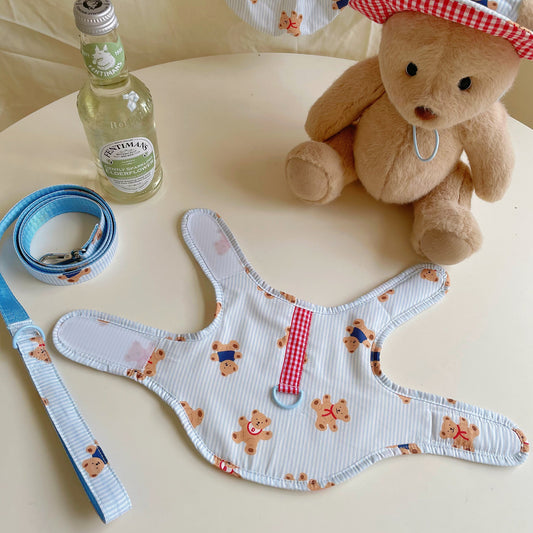 Summer Bear Walk Harness