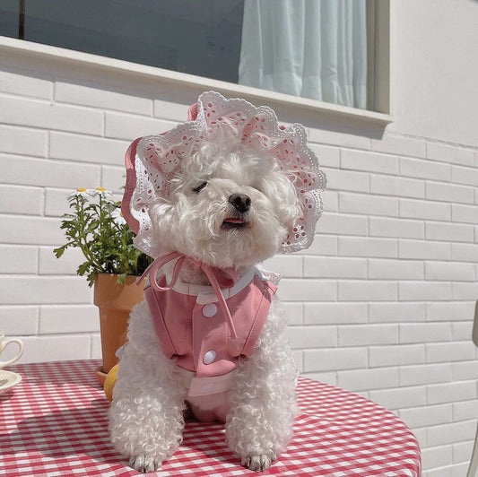 Sweet Pink Daily Dress